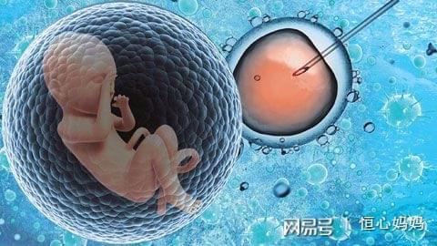 供卵代生咨询哪家靠谱